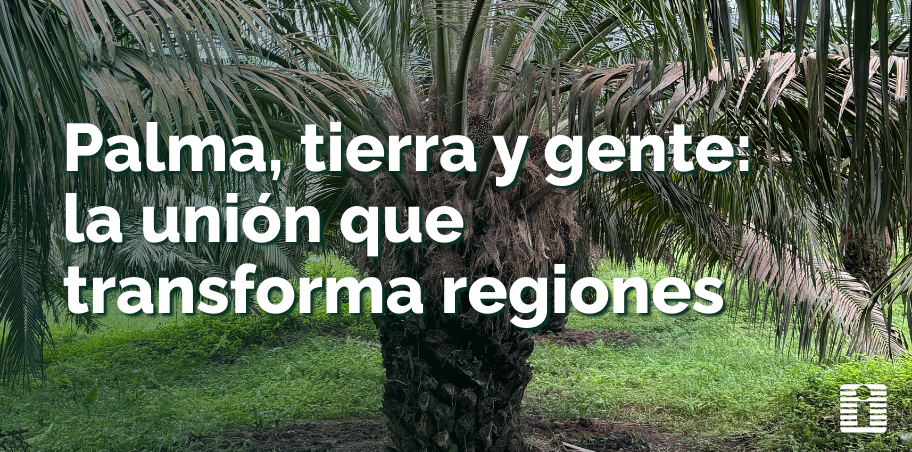 Palma, tierra y gente: la unión que transforma regiones