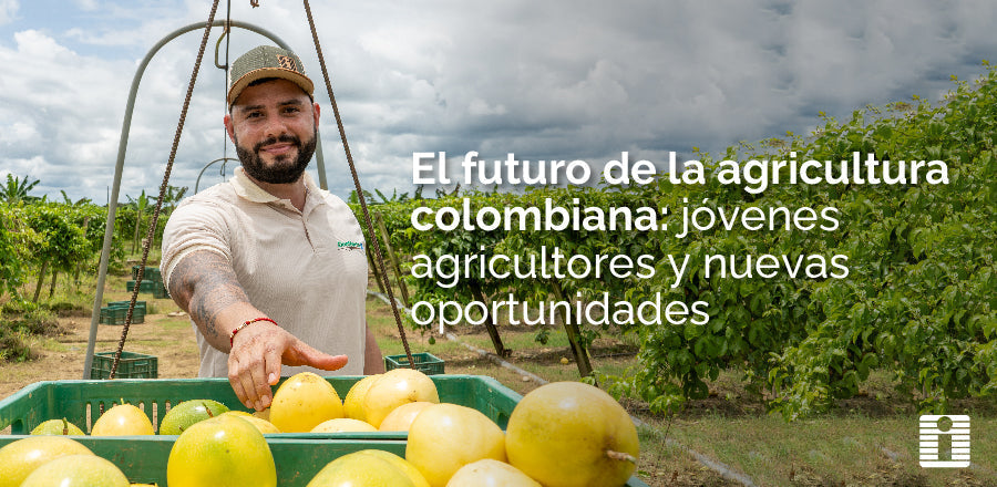 El futuro de la agricultura colombiana: jóvenes agricultores y nuevas oportunidades