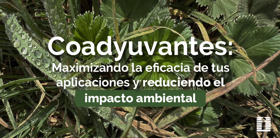 Coadyuvantes: Maximizando la Eficacia de Tus Aplicaciones y Reduciendo el Impacto Ambiental