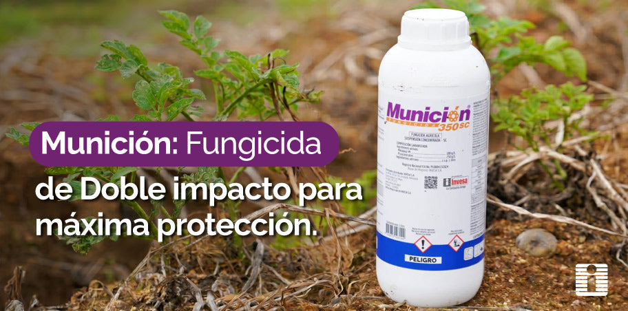 Munición: Fungicida de Doble Impacto para Máxima Protección