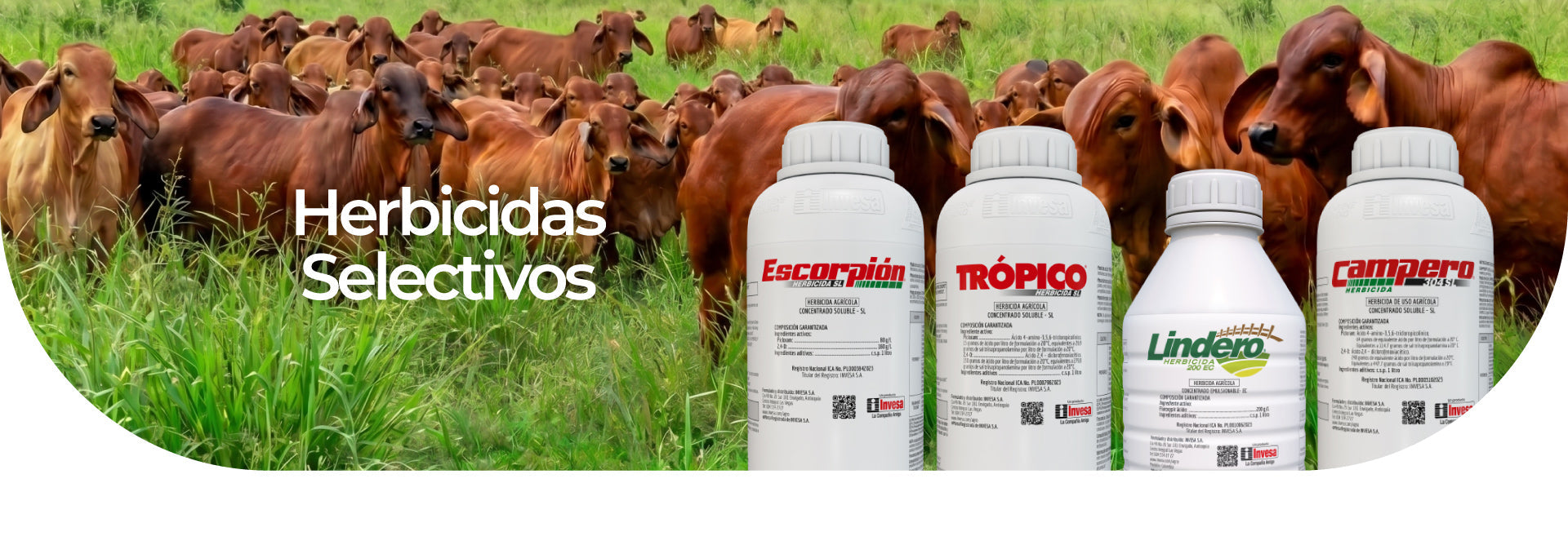 Herbicidas selectivos