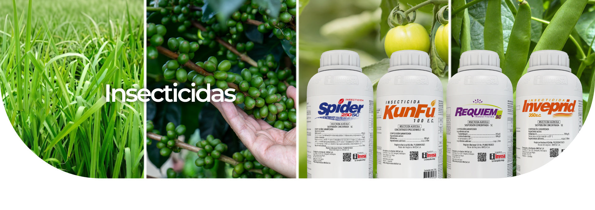 Insecticidas